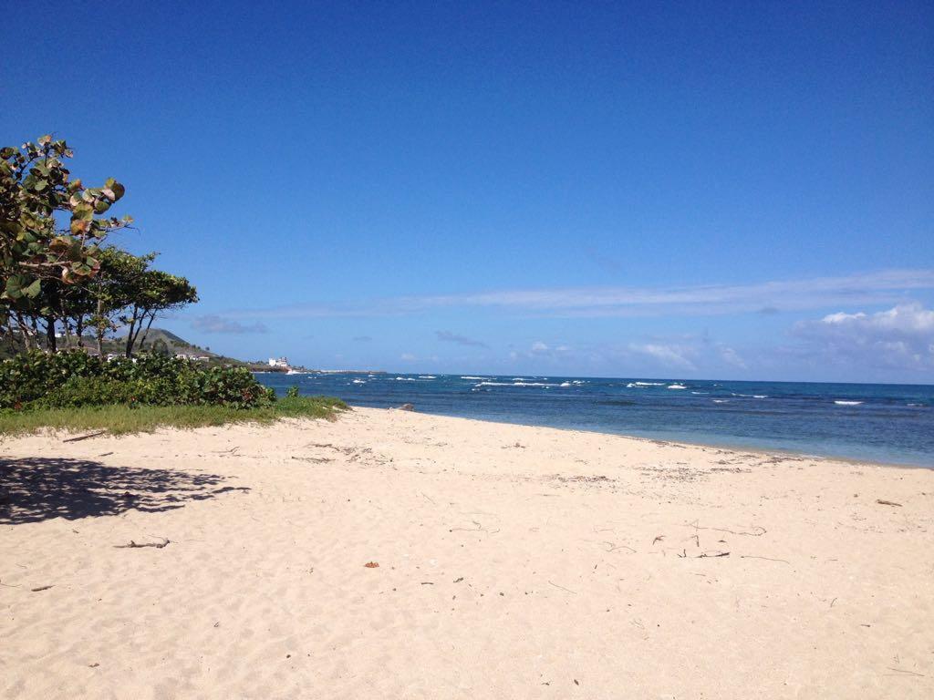 Mar azul 401 Apartman Puerto Plata Kültér fotó